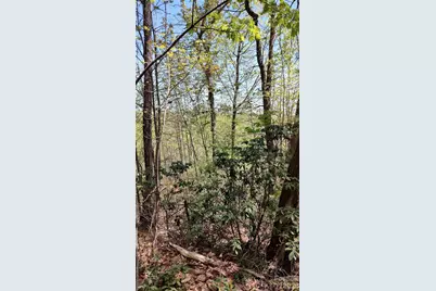0 Staghorn Road, Purlear, NC 28665 - Photo 4