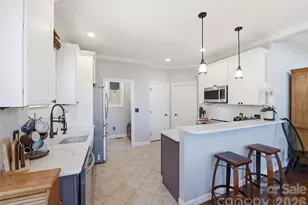 737 Traditions Way, Mars Hill, NC 28754 - Photo 8