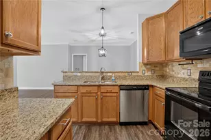 17221 Doe Valley Ct, Cornelius, NC 28031 - Photo 1