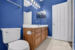 17221 Doe Valley Ct, Cornelius, NC 28031 - Photo 14