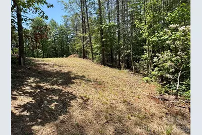 Lot 731, 5971 Box Turtle Run #731, Lenoir, NC 28645 - Photo 4