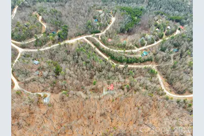 184 Deep Woods Lane, Saluda, NC 28773 - Photo 2