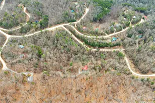 184 Deep Woods Ln, Saluda, NC 28773 - Photo 2