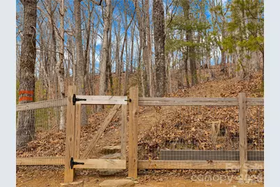184 Deep Woods Lane, Saluda, NC 28773 - Photo 42