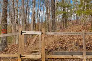 184 Deep Woods Ln, Saluda, NC 28773 - Photo 42