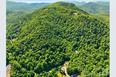 99999 Cliffledge Trail, Black Mountain, NC 28711 - Photo 8
