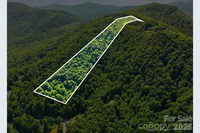 99999 Cliffledge Trail, Black Mountain, NC 28711 - Photo 4