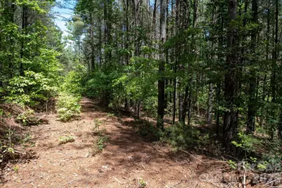 000 Narrow Gauge Drive #18, Lenoir, NC 28645 - Photo 6