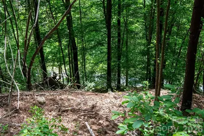 000 Narrow Gauge Drive #18, Lenoir, NC 28645 - Photo 10