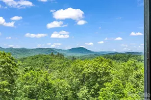241 Dvdegi Ct, Brevard, NC 28712 - Photo 40