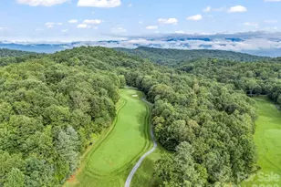241 Dvdegi Ct, Brevard, NC 28712 - Photo 44