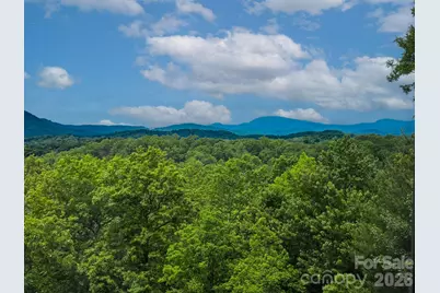 241 Dvdegi Court, Brevard, NC 28712 - Photo 14
