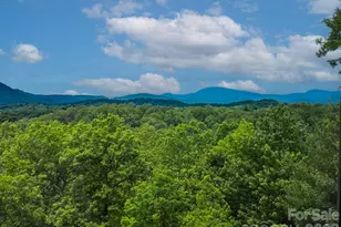 241 Dvdegi Ct, Brevard, NC 28712 - Photo 14