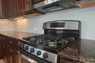 10415 Newbridge Rd, Charlotte, NC 28278 - Photo 8