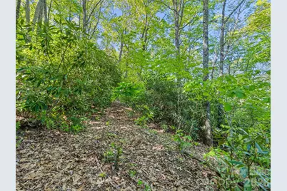 #19 Sleepy Hollow Lane, Waynesville, NC 28786 - Photo 6