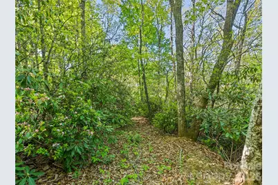 #19 Sleepy Hollow Lane, Waynesville, NC 28786 - Photo 2