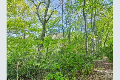 #19 Sleepy Hollow Lane, Waynesville, NC 28786 - Photo 4
