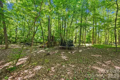 1472 Old Tara Lane, Fort Mill, SC 29708 - Photo 34