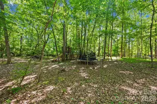 1472 Old Tara Ln, Fort Mill, SC 29708 - Photo 34