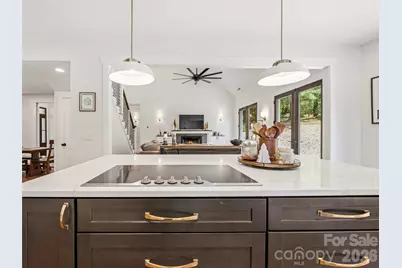 158 Trellem Trail, Hendersonville, NC 28739 - Photo 20