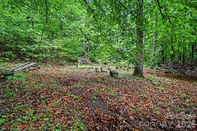 260 Cherrywood Lane, Sharon, SC 29742 - Photo 48