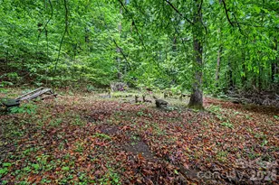 260 Cherrywood Ln, Sharon, SC 29742 - Photo 48