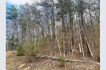 Tbd Moonbeam Lane #101,102, Clyde, NC 28721 - Photo 12