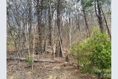 Tbd Moonbeam Lane #101,102, Clyde, NC 28721 - Photo 16