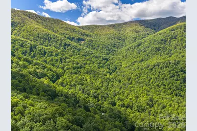 39 Great Aspen Way, Black Mountain, NC 28711 - Photo 28