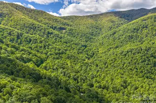 39 Great Aspen Way, Black Mountain, NC 28711 - Photo 28