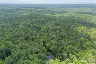 253 Hwy 161 None N, Clover, SC 29710 - Photo 44