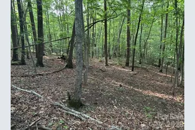00 Cardinal Circle, Tryon, NC 28782 - Photo 2