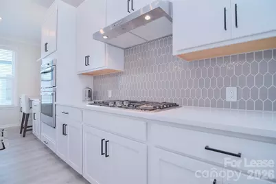 5029 Nestling Spring Street, Charlotte, NC 28205 - Photo 6