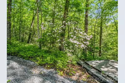352 Big Hill Road, Brevard, NC 28712 - Photo 30