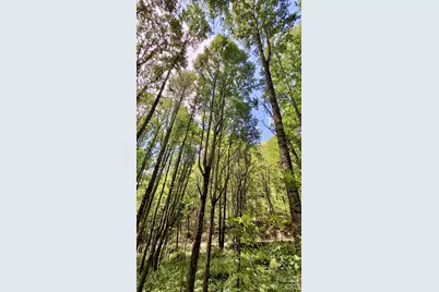 0000 Cold Mountain Road, Highlands, NC 28741 - Photo 4