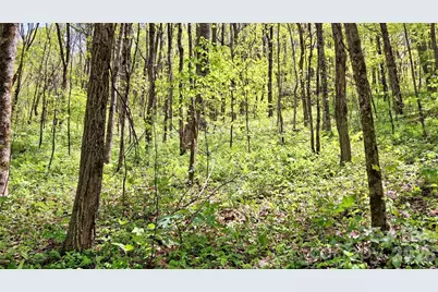 0000 Cold Mountain Road, Highlands, NC 28741 - Photo 40