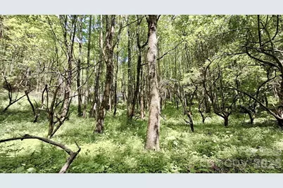 0000 Cold Mountain Road, Highlands, NC 28741 - Photo 14
