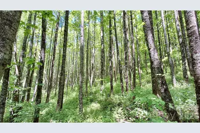 0000 Cold Mountain Road, Highlands, NC 28741 - Photo 30