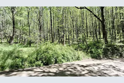 0000 Cold Mountain Road, Highlands, NC 28741 - Photo 12