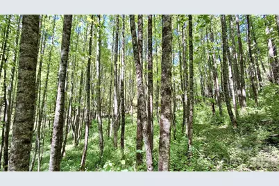 0000 Cold Mountain Road, Highlands, NC 28741 - Photo 26