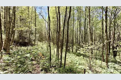 0000 Cold Mountain Road, Highlands, NC 28741 - Photo 42