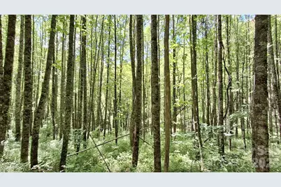 0000 Cold Mountain Road, Highlands, NC 28741 - Photo 28