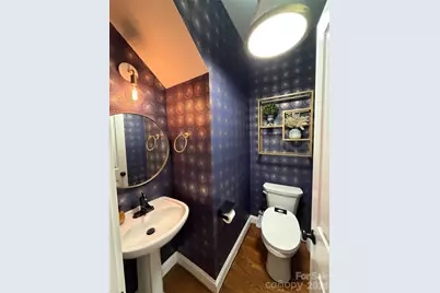 325 Elis Way, Fort Mill, SC 29708 - Photo 20
