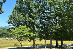 370 Walker Rd, Nebo, NC 28761 - Photo 4
