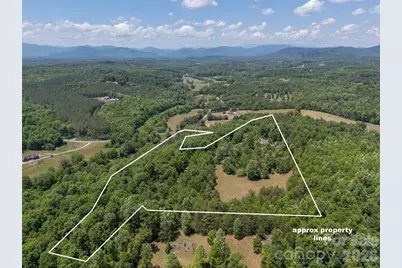 265 Willow Pond Road, Rutherfordton, NC 28139 - Photo 4