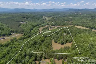 265 Willow Pond Rd, Rutherfordton, NC 28139 - Photo 4