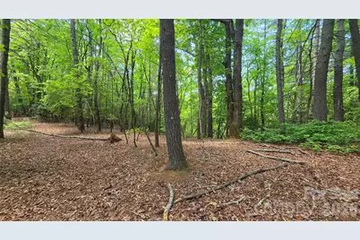 262 Wingfield Way, Brevard, NC 28712 - Photo 10