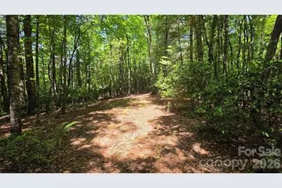262 Wingfield Way, Brevard, NC 28712 - Photo 12