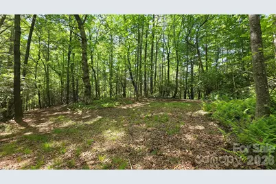 262 Wingfield Way, Brevard, NC 28712 - Photo 6