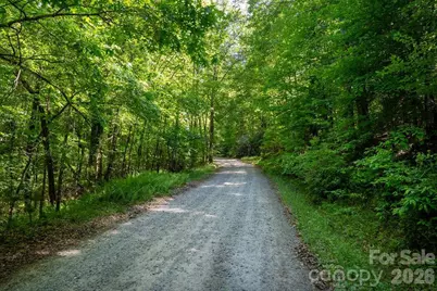 262 Wingfield Way, Brevard, NC 28712 - Photo 14